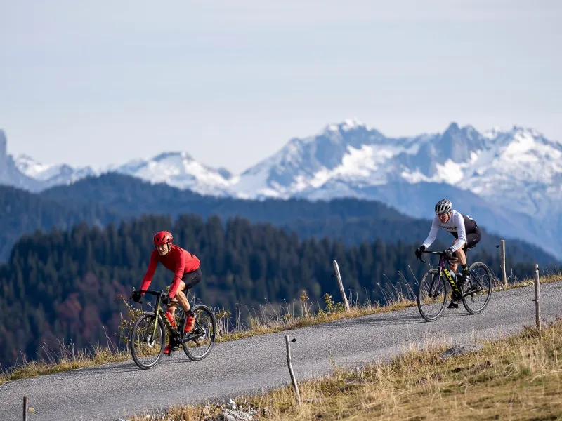 CYCLOSPORTIFS_COL ARPETTE