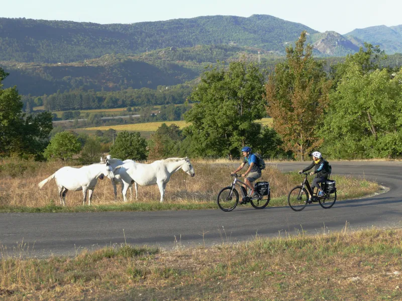 Am Fuße des Col de Fontbelle, wenn Sie aus Sisteron herausfahren