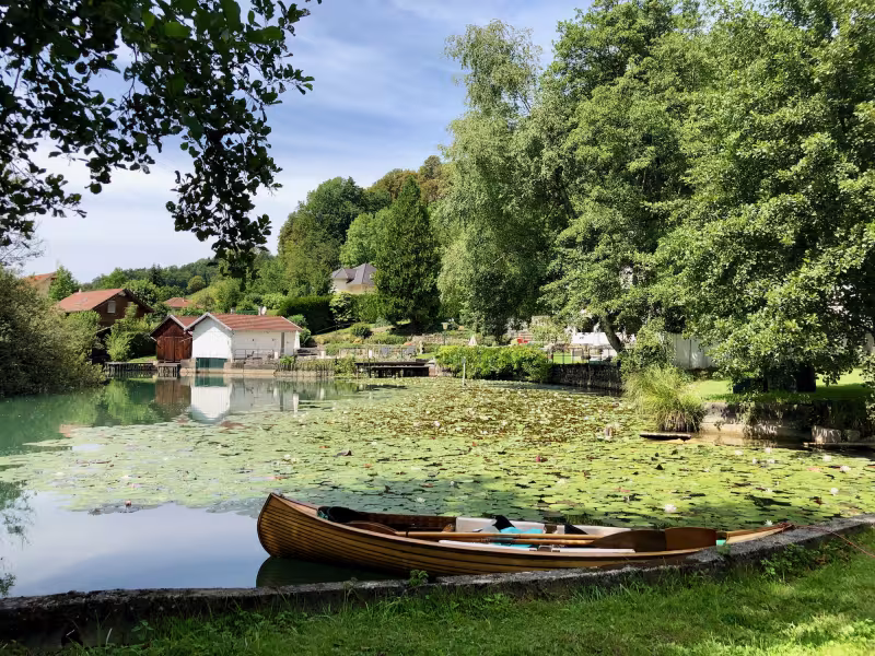 Ruderboot in den Sümpfen des Pays du lac d'Aiguebelette
