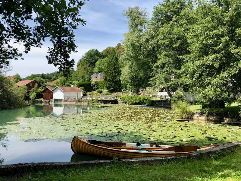 Ruderboot in den Sümpfen des Pays du lac d'Aiguebelette