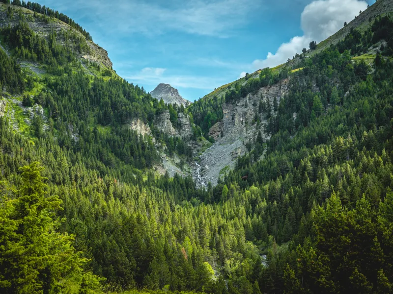 Wasserfall Pissoun in Terres Pleines