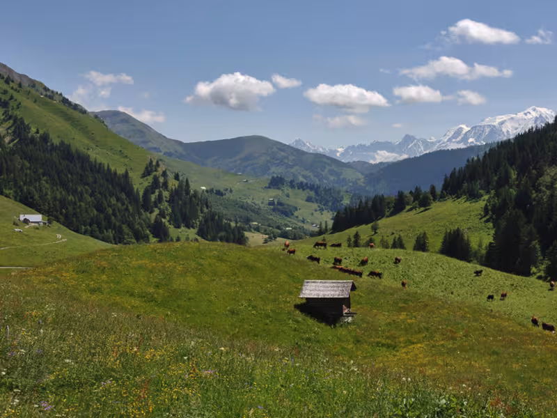 Aravis-Pass