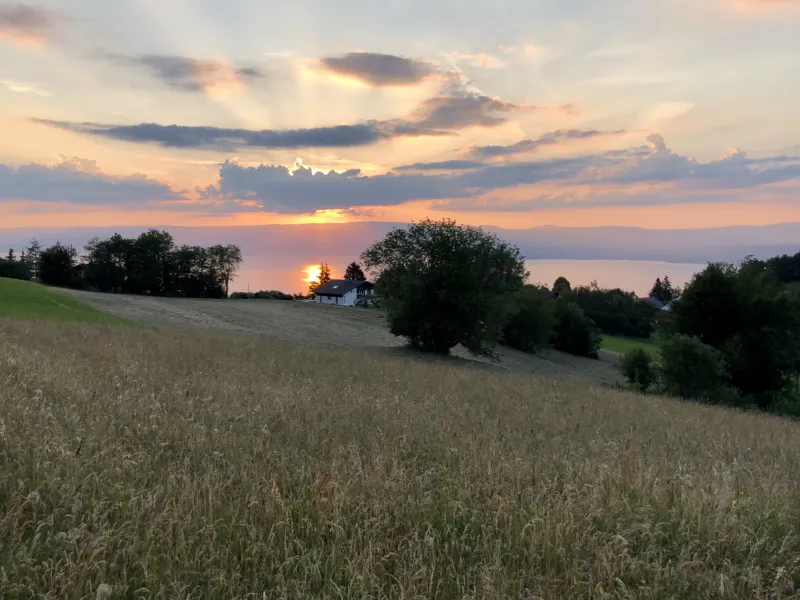 Sonnenuntergang auf dem Genfersee