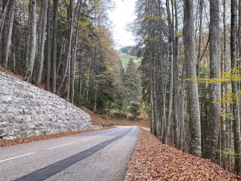 Abstieg vom Col du Feu nach Lullin