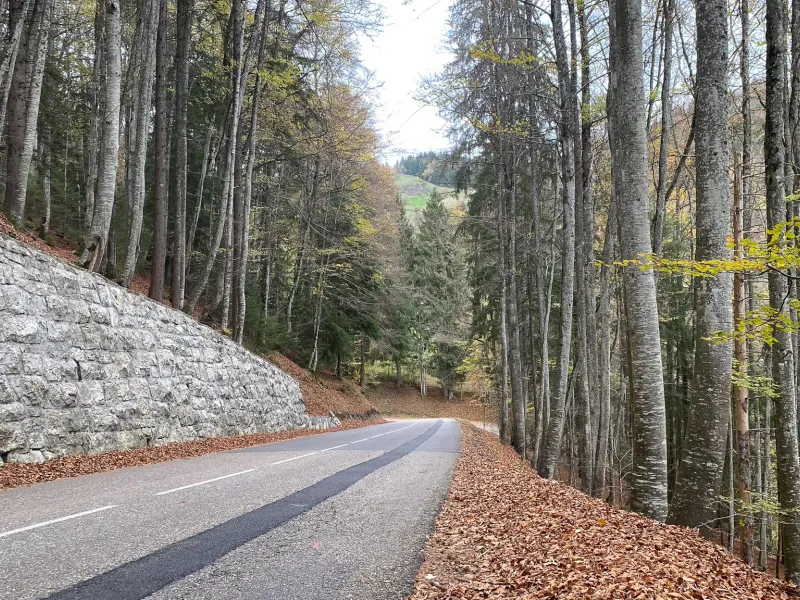 Abstieg vom Col du Feu nach Lullin