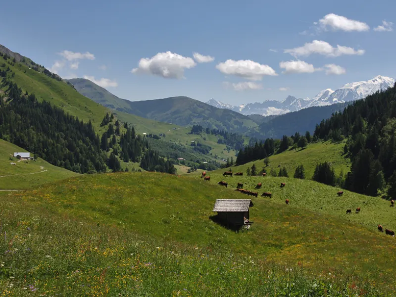 Abfahrt vom Col des Aravis ins Val d'Arly