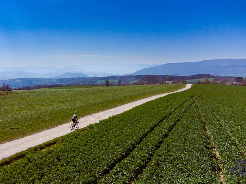 Kurs nach Süden auf den Gravel-Pisten des Mont Sion