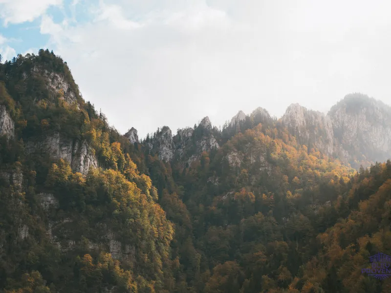 Herbststimmung in der Chartreuse