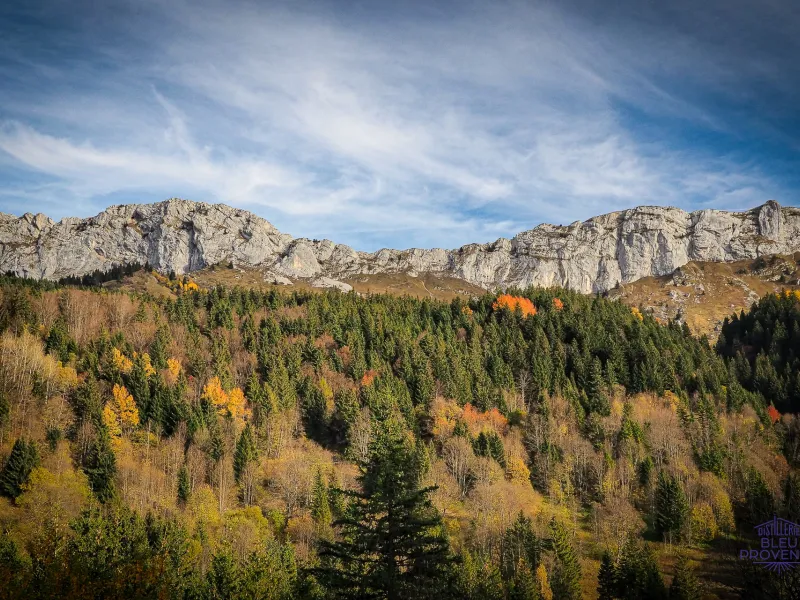 Herbststimmung rund um Villard-de-Lans