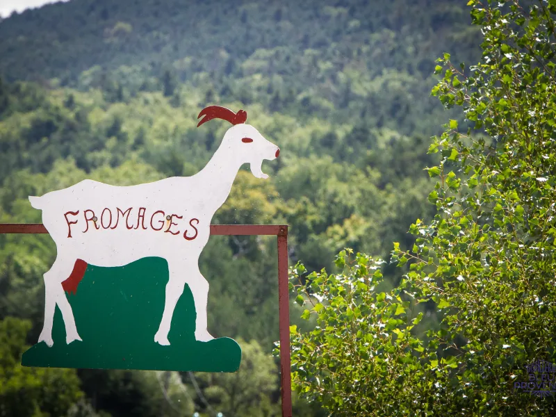 Unumgänglicher Ziegenkäse aus dem Diois