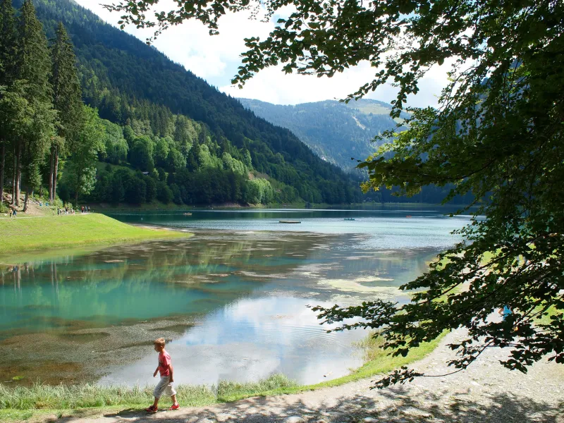 See von Montriond