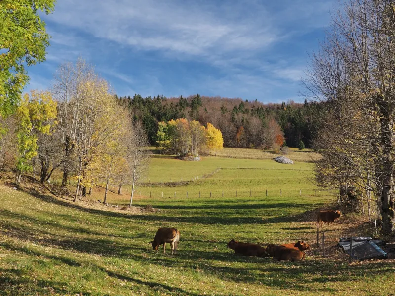 Landschaft des Vercors des 4 Montagnes um Villard-de-Lans