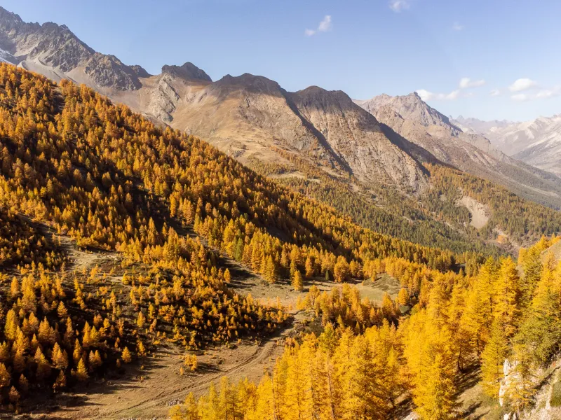 Herbstlandschaften in Serre-Chevalier