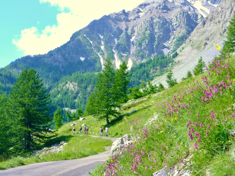 Alpenrasen und Lärchen begleiten die Radfahrer
