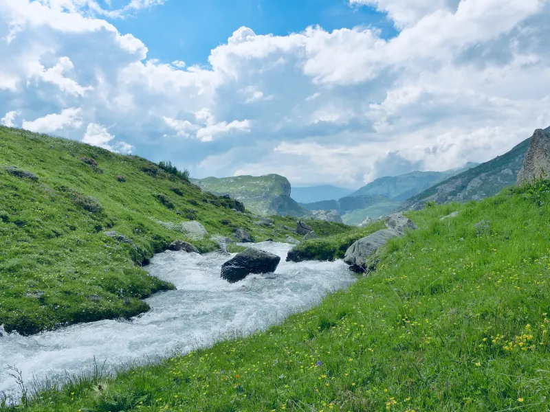 Torrent und Almen von Cormet de Roselend