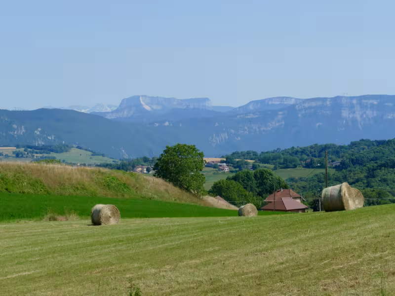 Blick auf die Chartreuse vom Savoyarder Vorland aus