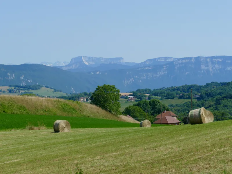 Blick auf die Chartreuse vom Savoyarder Vorland aus