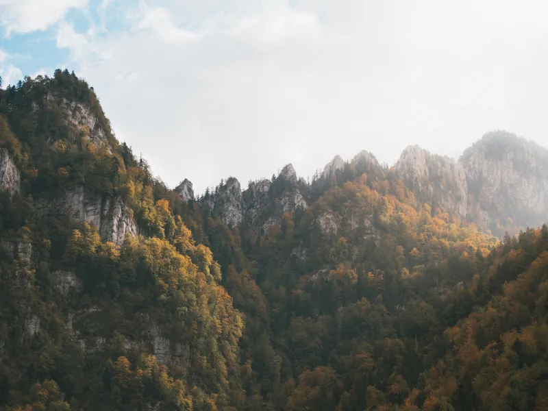 Herbststimmung in der Chartreuse