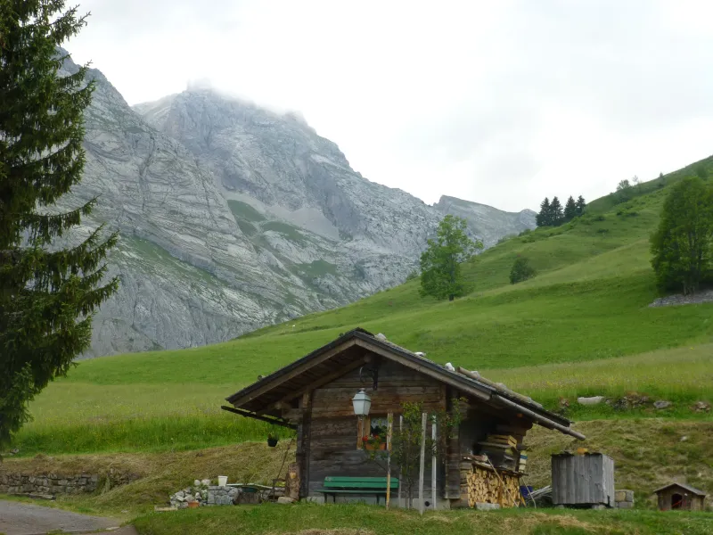 Chalet in Le Chinaillon