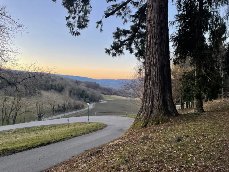 Auf dem Weg nach Desingy