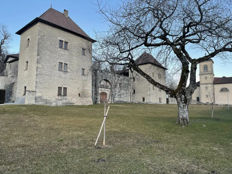 Das Schloss von Clermont, unumgänglicher Durchgang des Albanais