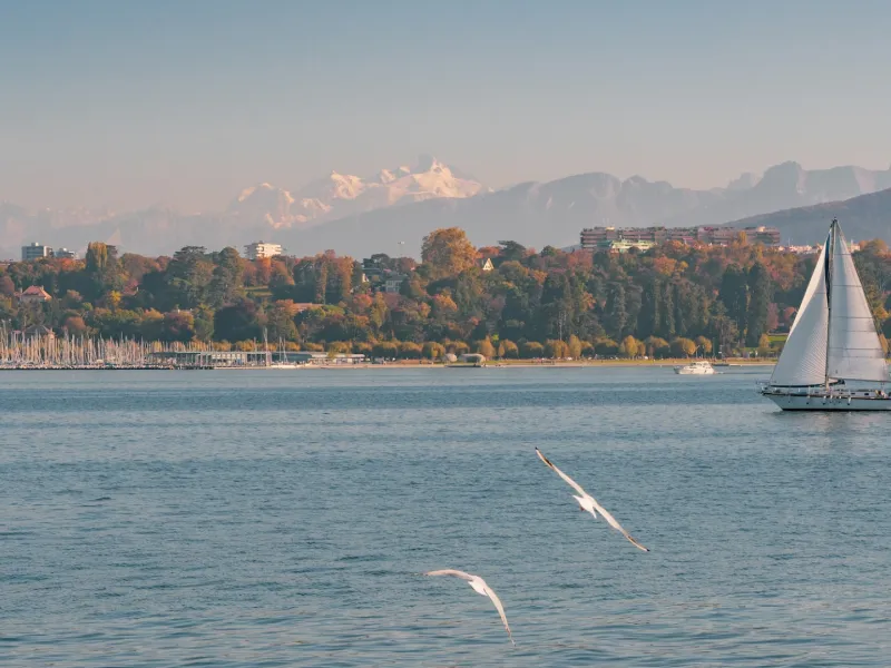 Der Genfer See und die Alpen im Hintergrund