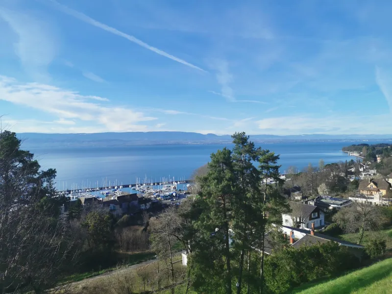 Blick auf den Hafen von Thonon-les-bains
