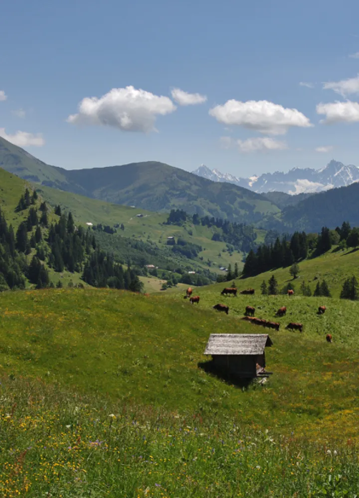 Abfahrt vom Col des Aravis ins Val d'Arly
