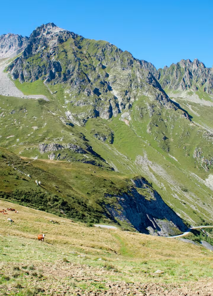 Der Südwesthang des Col de la Madeleine