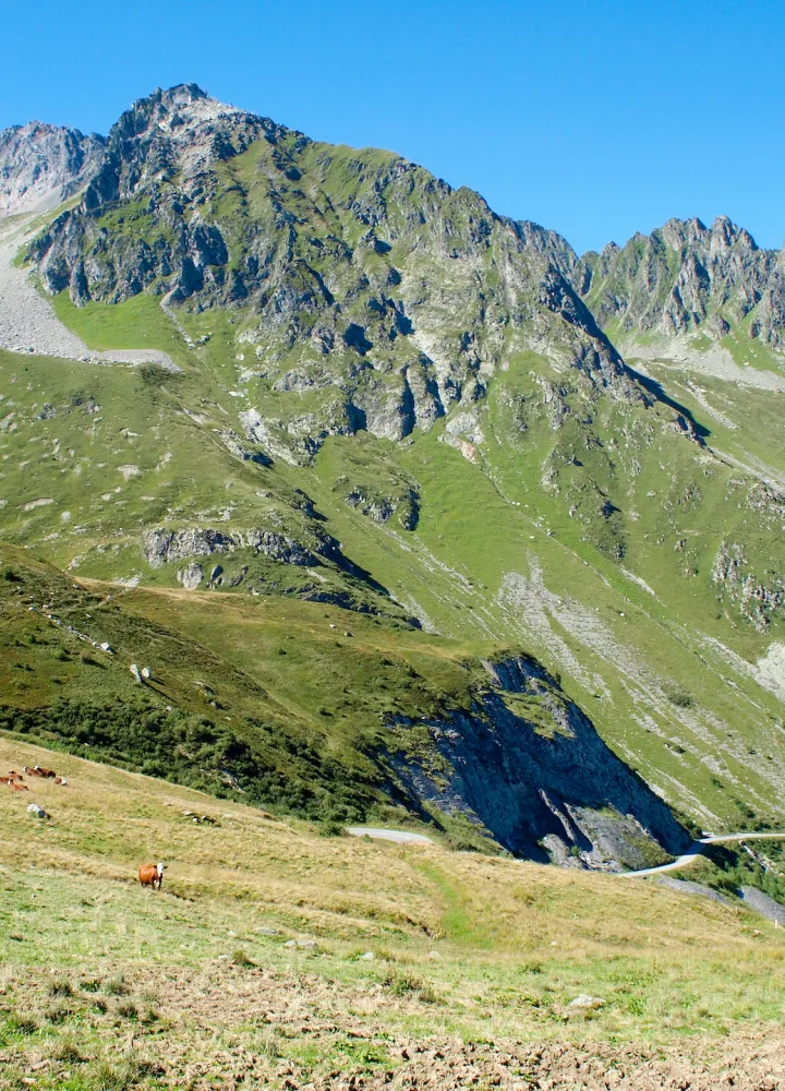 Der Südwesthang des Col de la Madeleine