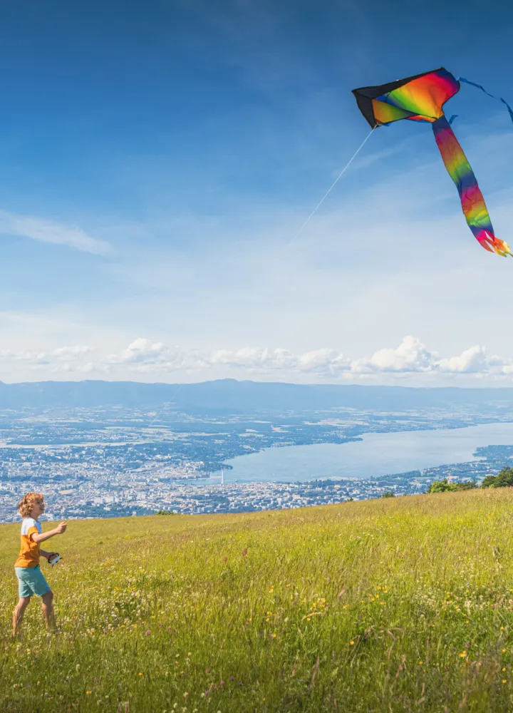 Blick vom Gipfel des Salève