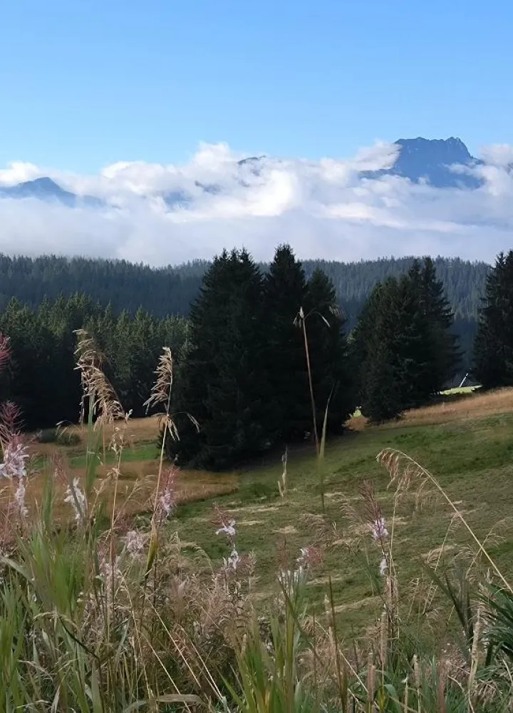Les Saisies route des grandes alpes