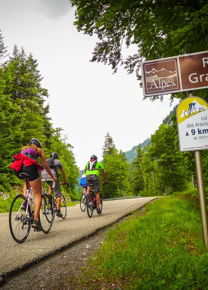 Hinweisschild auf Route des Grandes Alpes