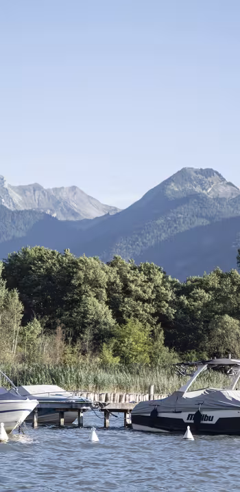 Quellen des Sees von Annecy - 1