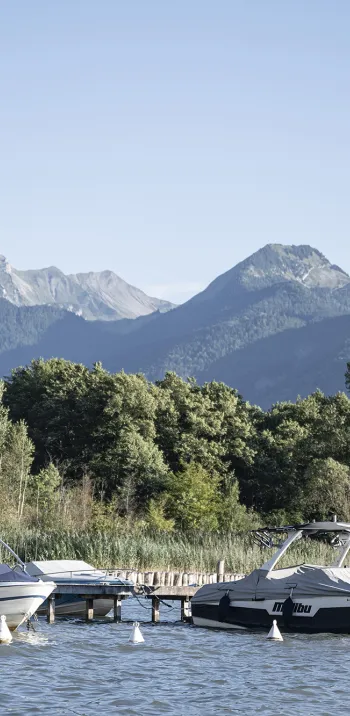 Quellen des Sees von Annecy - 1