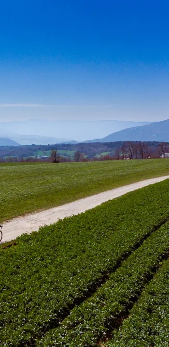 Kurs nach Süden auf den Gravel-Pisten des Mont Sion