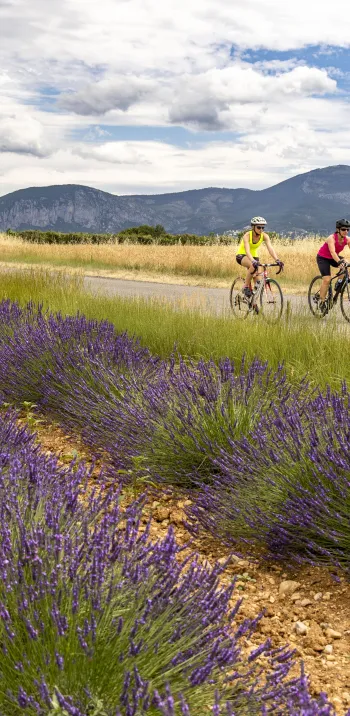 HAUTE PROVENCE_fahrradroute_Grand Tour Provence Alpes_Thibaut VERGOZ_2021 (117).jpg