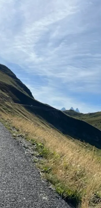 Variante1.jpg