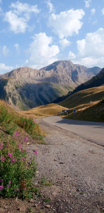 Südhang des Col de Vars Ubaye-Küste