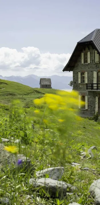 Web-Col-du-pt-St-Bernard-MairiedeSeez-P.Marot_.jpg