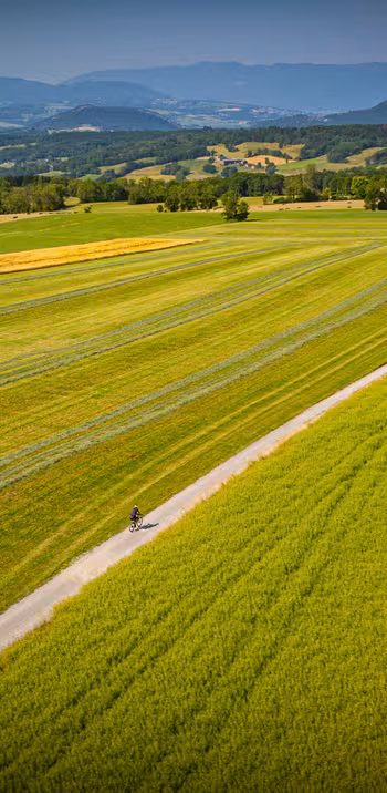dji_0213-2.jpg