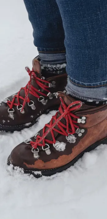 Chaussures de randonnée