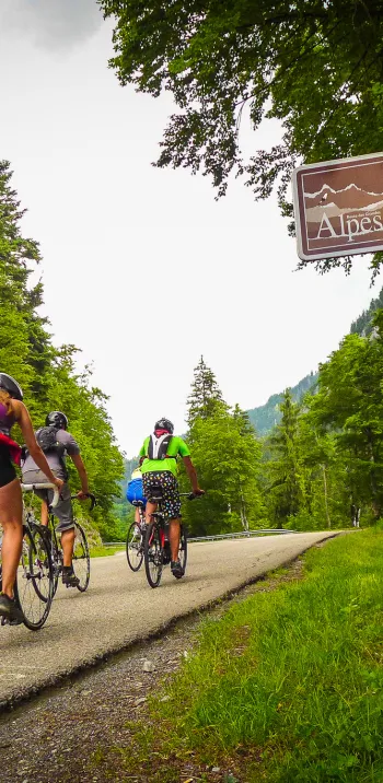 Hinweisschild auf Route des Grandes Alpes