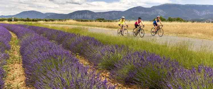 HAUTE PROVENCE_fahrradroute_Grand Tour Provence Alpes_Thibaut VERGOZ_2021 (117).jpg