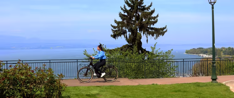 banner velo.jpg