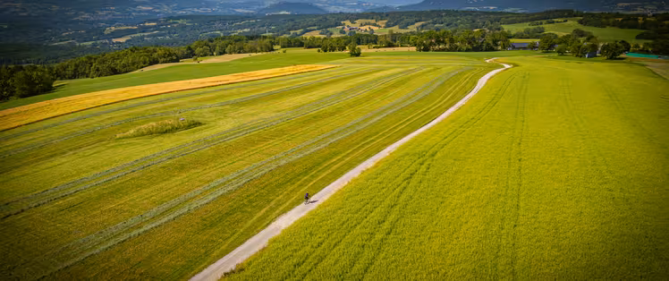dji_0213-2.jpg