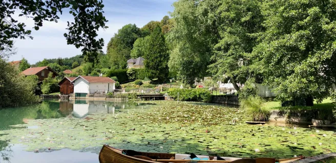 Saint-Jean-de-Chevelu / Lépin-le-Lac