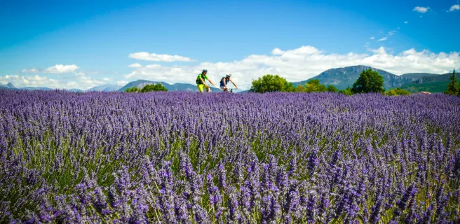 Château-Arnoux-Saint-Auban - Moustiers-Sainte-Marie (Gorges du Verdon)