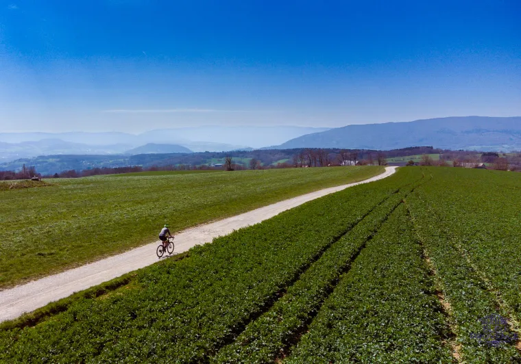 Kurs nach Süden auf den Gravel-Pisten des Mont Sion