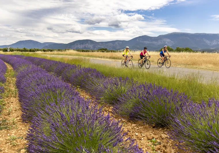 fahrradroute haute provence